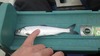 Kokanee thumb