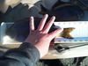 Perch body 3 thumb