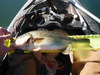 Dscf3202 thumb