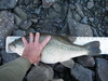Imgp1270 thumb