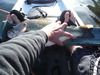 026 thumb