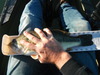 Clear lake 001 thumb