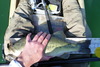 P1030332 thumb
