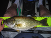 Lmb a 4.6.14 thumb