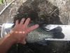 Imgp1365 thumb