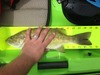 Small15.25 thumb