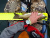 Berryessa fish 001 thumb