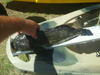 Sam 0373 thumb