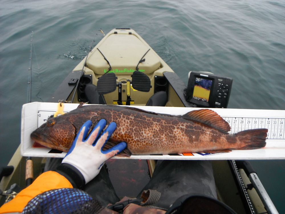 2014 rockfish opener timber cove 01 june 008