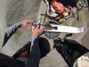 Greenling   copy thumb