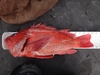 Dsc01344  2000x1500  thumb