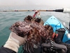 Dsc01317  2000x1500  thumb