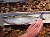 Dsc01544  2000x1500  thumb