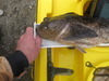Ft ross 9 13 14 058 thumb