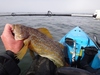 Dsc01593  2000x1500  thumb