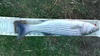Kimg0018 thumb