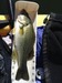 Largemouth thumb
