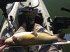 Portcat24.5. thumb
