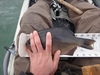 Dsc02634  2000x1500  thumb