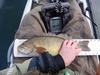 Dsc03096  2000x1500  thumb
