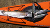 Sp trout2 thumb