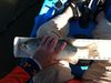 Mendo 011915 thumb