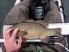 Dsc03127  2000x1500  thumb