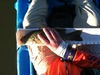 Aoty 15 smallie thumb