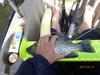 Crappie thumb