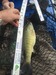 Smallie 3 thumb