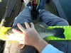 Dscf1640 thumb