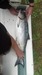 King salmon whole thumb
