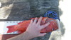 Imgp0148 thumb