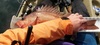 21.75 rockfish thumb