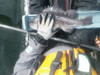 186 thumb