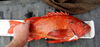 Dscf3642 thumb