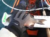 13surfperch thumb