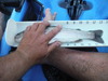 Dscf2428 thumb