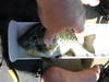Dscf1713 thumb