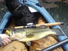 Bass 4 22 07 thumb