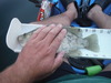 Dscf2454 thumb