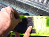 029 thumb