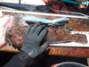 Cabbyfull thumb