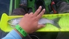 0829150658 thumb