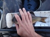 Dsc05079  2000x1500  thumb