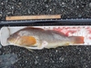 Dsc05830  2000x1500  thumb