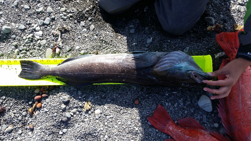 20151016 150956