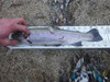 Dscf6064 thumb