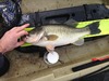 Bass thumb