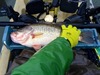 Lmb 19 cl 1 3 16 thumb